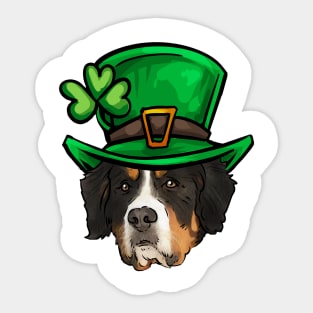 St Patricks Day Bernese Mountain Dog Sticker